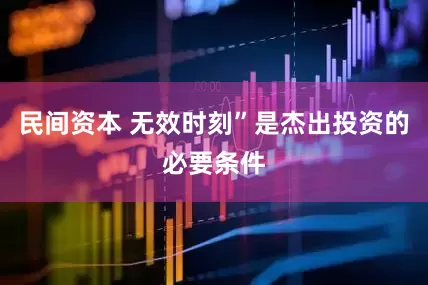 民间资本 无效时刻”是杰出投资的必要条件