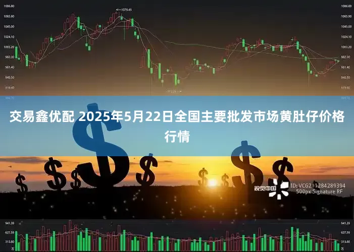 交易鑫优配 2025年5月22日全国主要批发市场黄肚仔价格行情