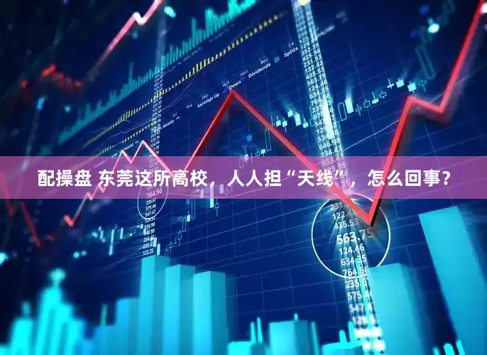 配操盘 东莞这所高校，人人担“天线”，怎么回事？